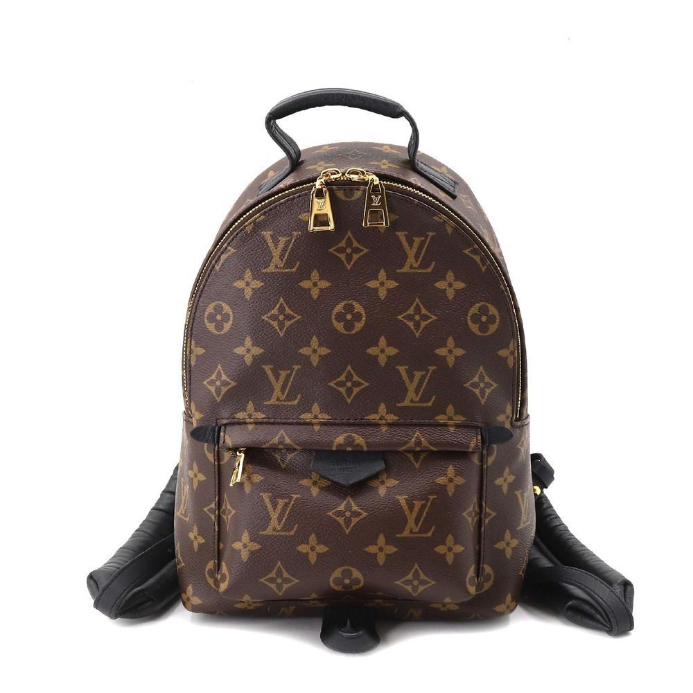 Louis Vuitton Monogram Palm Springs Backpack PM Backpack Brown